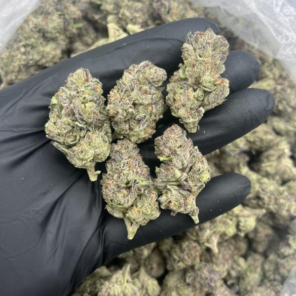 Alien Crashers mixed lights 👽💒