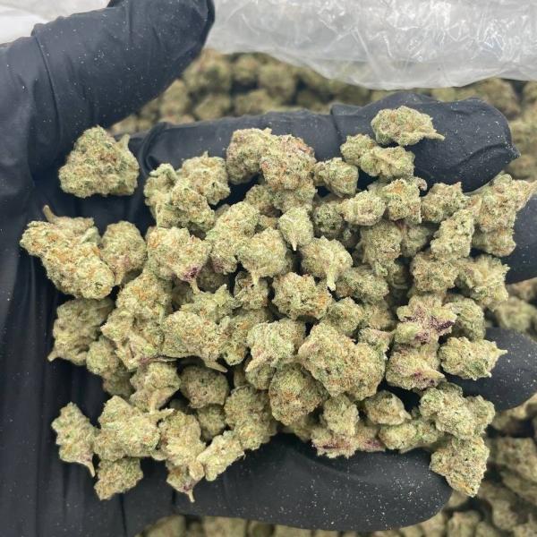 Alien Mac 👽 mixed lights