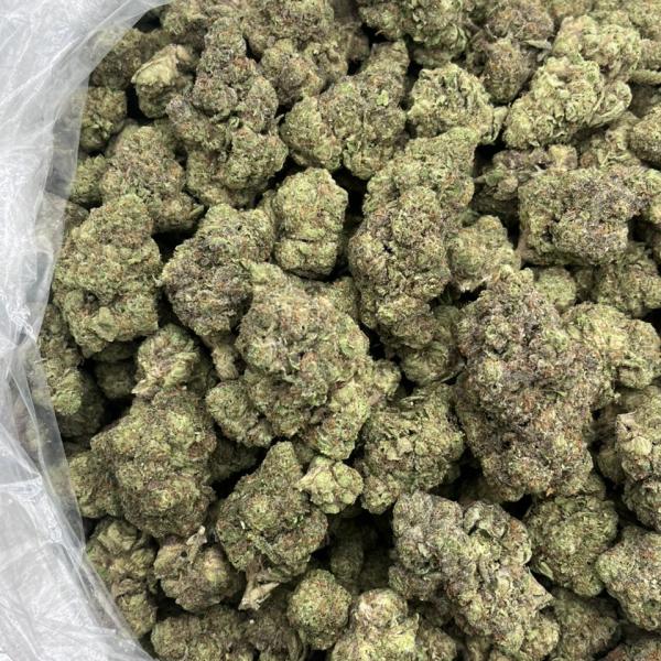 Gushlato mixed lights