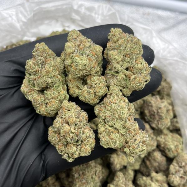 Gushlato mixed lights