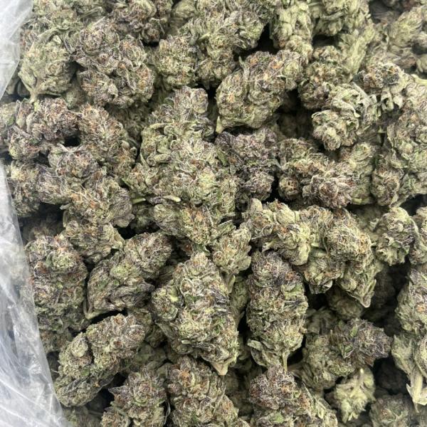 Alien Crashers mixed lights 👽💒