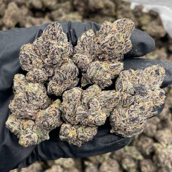 White Cherry Certz indoors