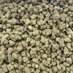 Alien Mac 👽 mixed lights