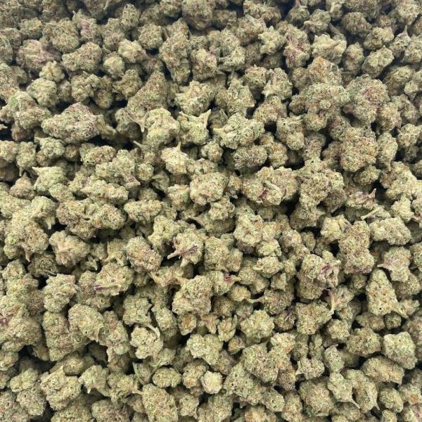 Alien Mac 👽 mixed lights