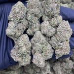 COTTON CANDY POPPERZ