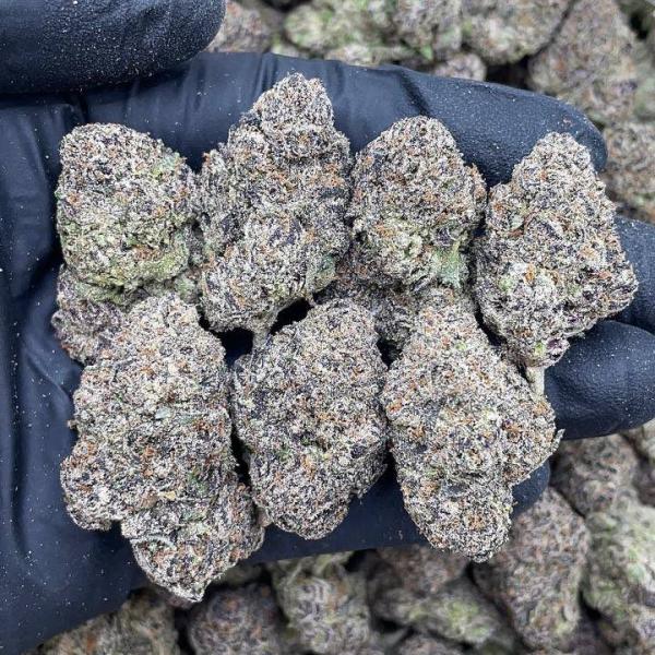 Raspberry Lemon Drops 🍋