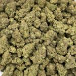 Fruit Stripes mixed lights