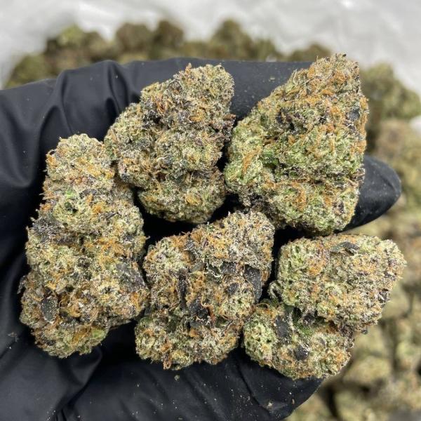 Martian Candy indoors 🛸👽🍭