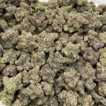 White Cherry Mimosa indoors