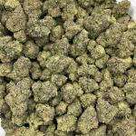 Blue Zours mixed lights