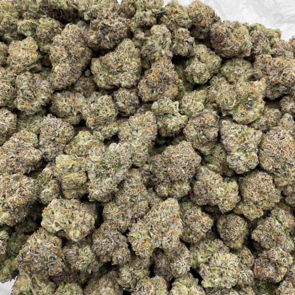 Cotton Candy indoors 🍭