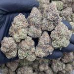 Bubblegum Runtz 🍭