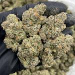 Blue Zushi indoors 🔷🍣🔥