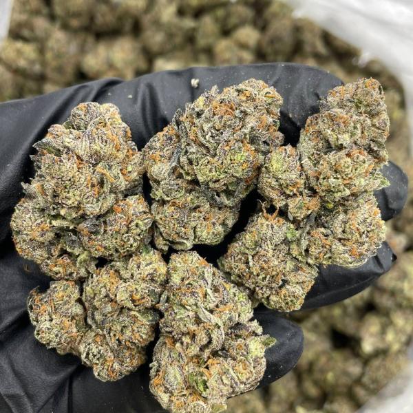 Rainbow Cherry mixed lights