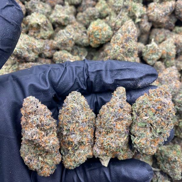 Rainbow Trix mixed lights 🌈🥣