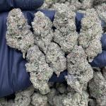 CHERRY SUPER RUNTZ SMALLS