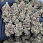 BLUE LEMON CHERRY 🍒