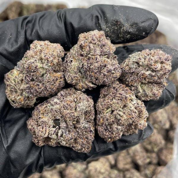 Sour Welches indoors