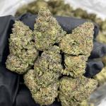 Blue Zours mixed lights