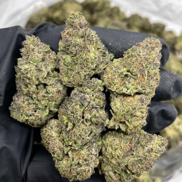 Blue Zours mixed lights