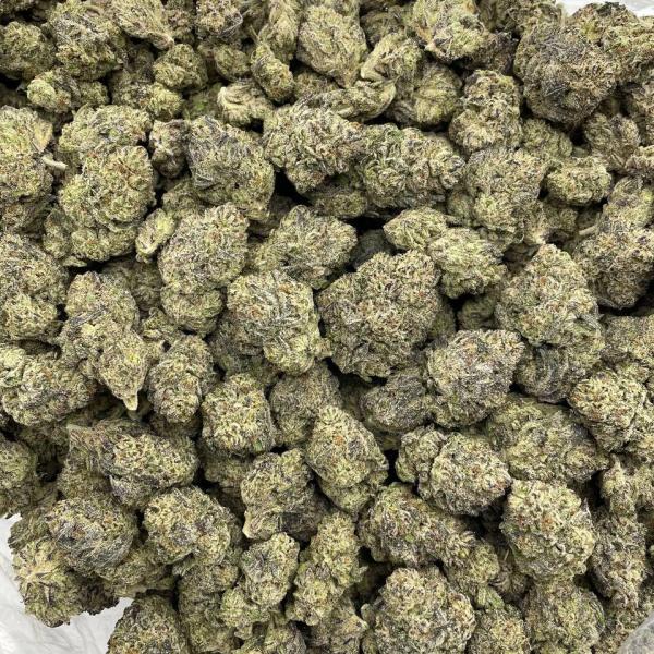 Blue Shaved Ice mixed lights