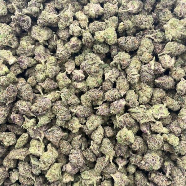 Bubblegum taffy indoor smalls 🫧