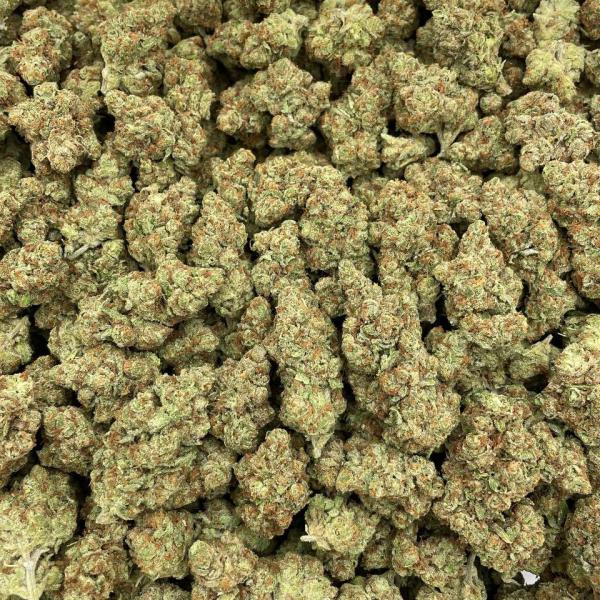 Yellow Zushi mixed lights